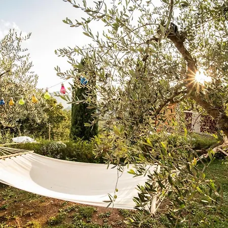 Casetta Di Butia, Gelsomino *